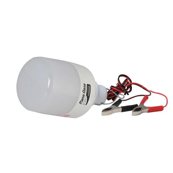 Bóng đèn LED BULB Rạng Đông DC 12W