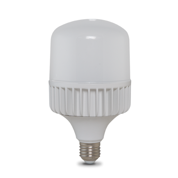 Bóng đèn LED BULB Rạng Đông Trụ TR100N1/30W.H