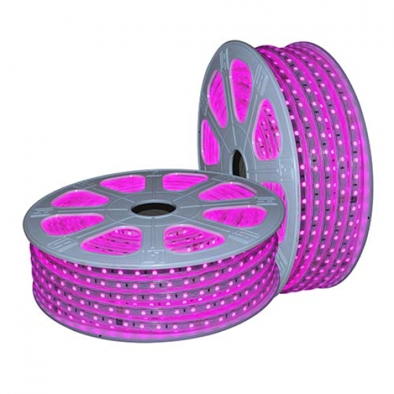 LED DÂY ÁNH SÁNG HỒNG Duhal 6WM LDH01 