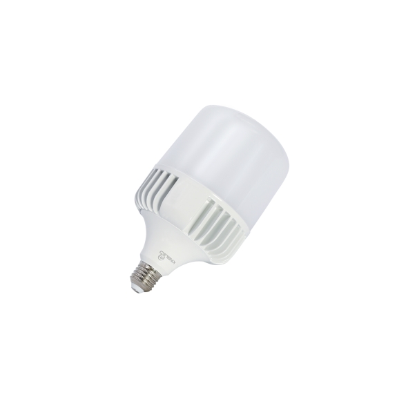ĐÈN LED BULB Kingled TRỤ 30W(LB-30-T100)