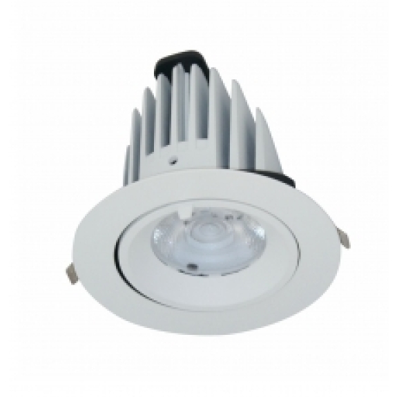 ĐÈN LED DOWNLIGHT CHIẾU SÂU Duhal 30W BIB0301