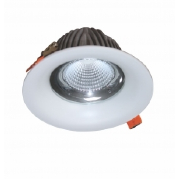 Đèn LED Downlight Chiếu Sâu Trần Cao Duhal 20W DFA0203