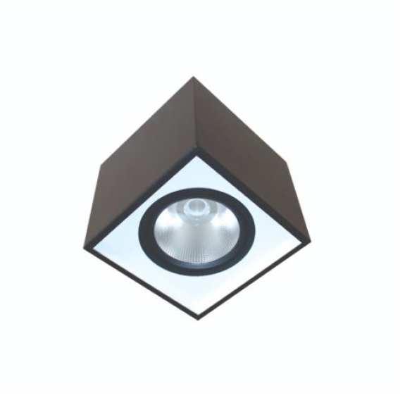 ĐÈN LED DOWNLIGHT GẮN NỔI CHIẾU SÂU 10W (DFB1101)