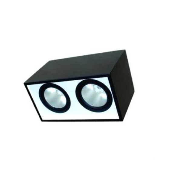 ĐÈN LED DOWNLIGHT GẮN NỔI CHIẾU SÂU 2x30W (DFB2301)