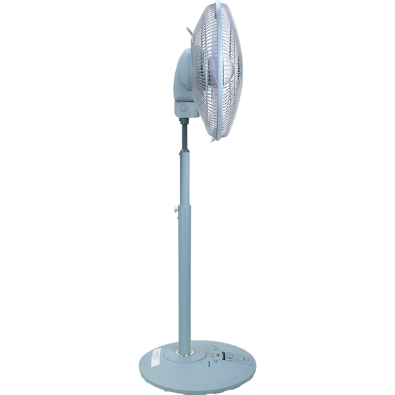 Quạt đứng Panasonic F-308NHB/ F-308NHP
